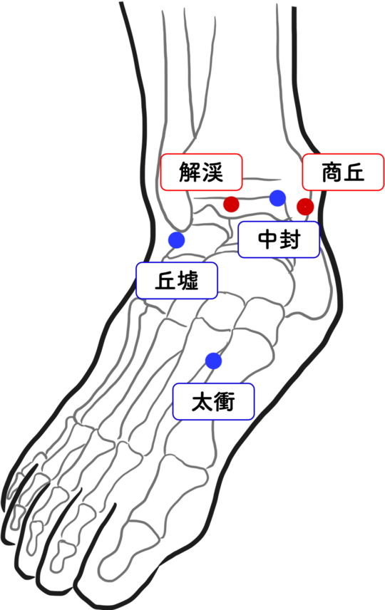 解答&解説 第32回鍼灸国家試験 リハビリテーション医学 - 渋谷